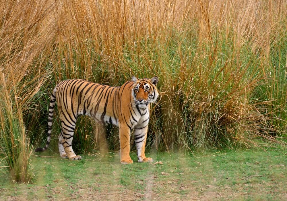 Amazing India Vacations