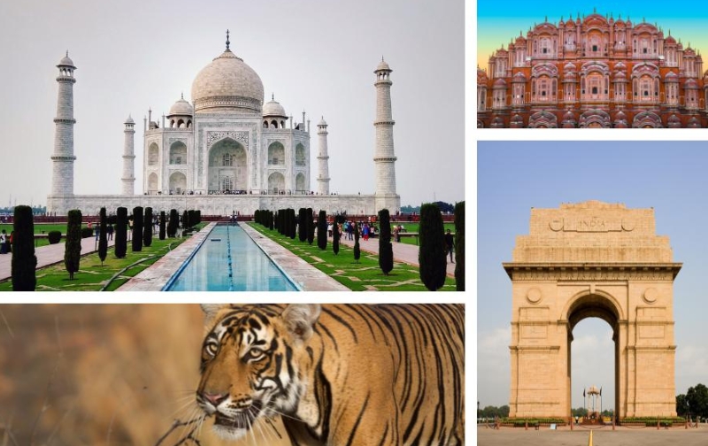 India Golden Triangle Private Tours